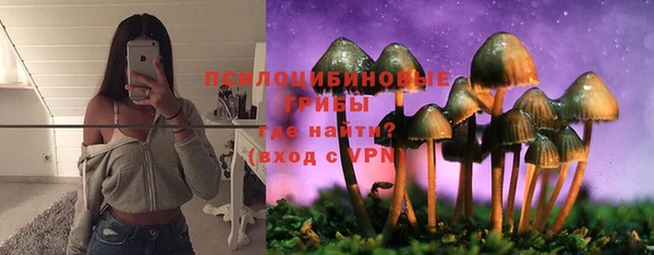 PSILOCYBIN Белоозёрский